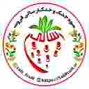 Dried fruits and dried fruits of the year, production and sale of dried fruits and dried fruits in Mazandaran