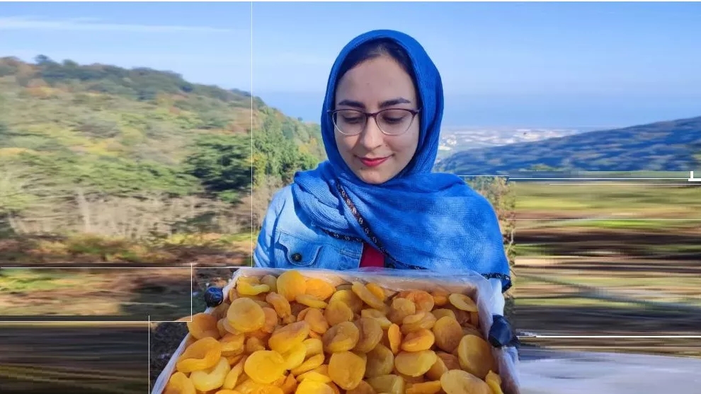 آجیل و خشکبار ارگانیک مازنداران
