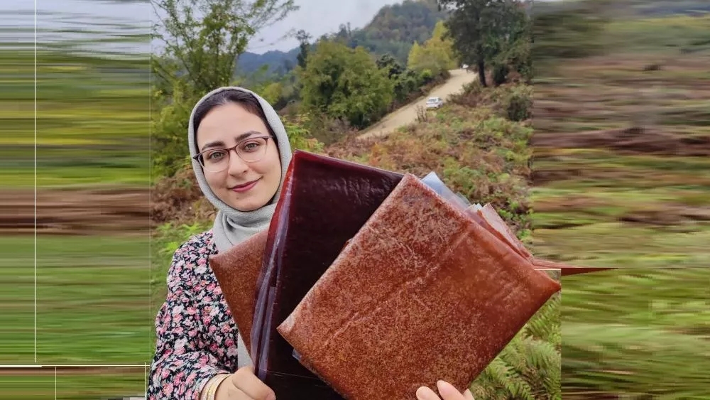 میوه خشک