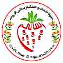 الفواكه المجففة والفواكه المجففة لهذا العام، إنتاج وبيع الفواكه المجففة والفواكه المجففة في مازندران
