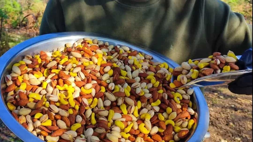 آجیل و خشکبار ارگانیک مازنداران