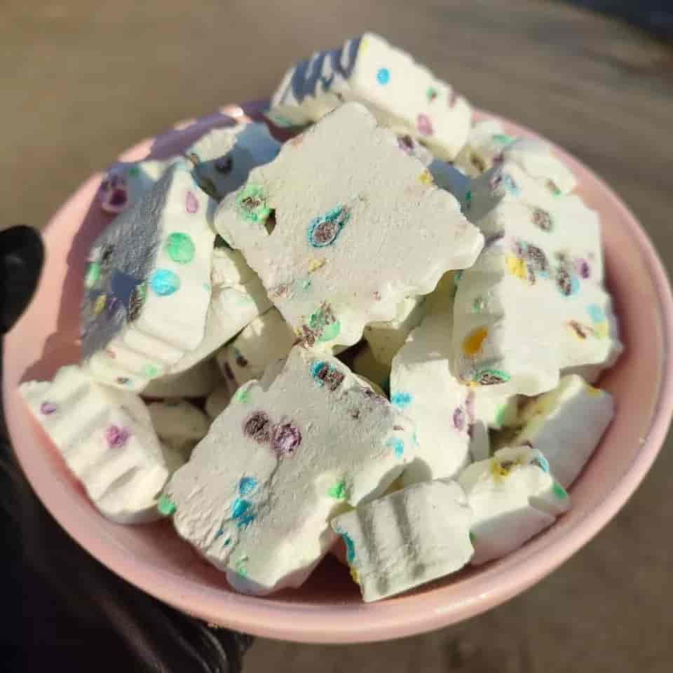 بستنی خشک